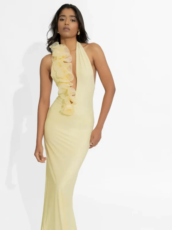 Modelo Briela - Imagen 2